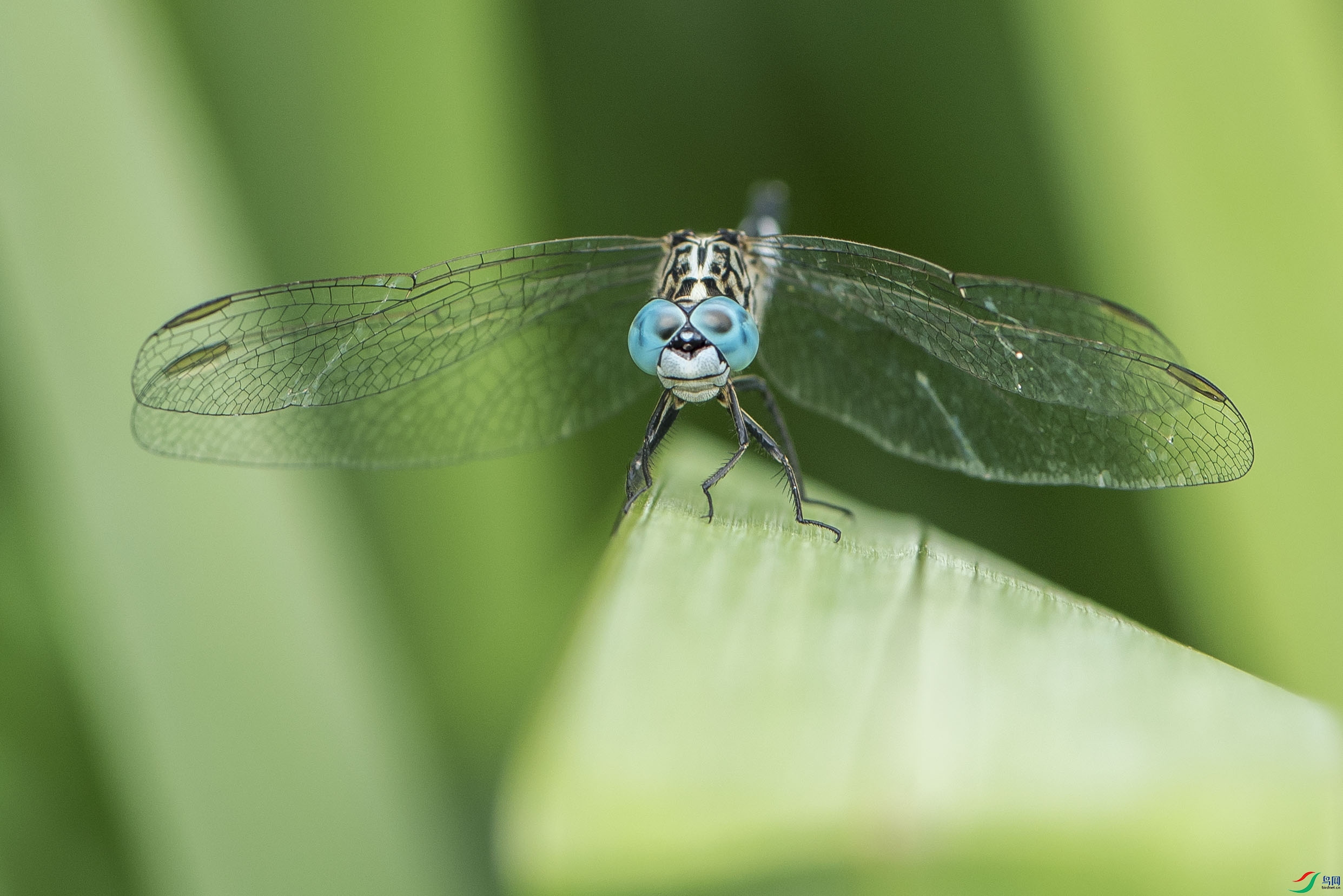 DSC_1666.jpg