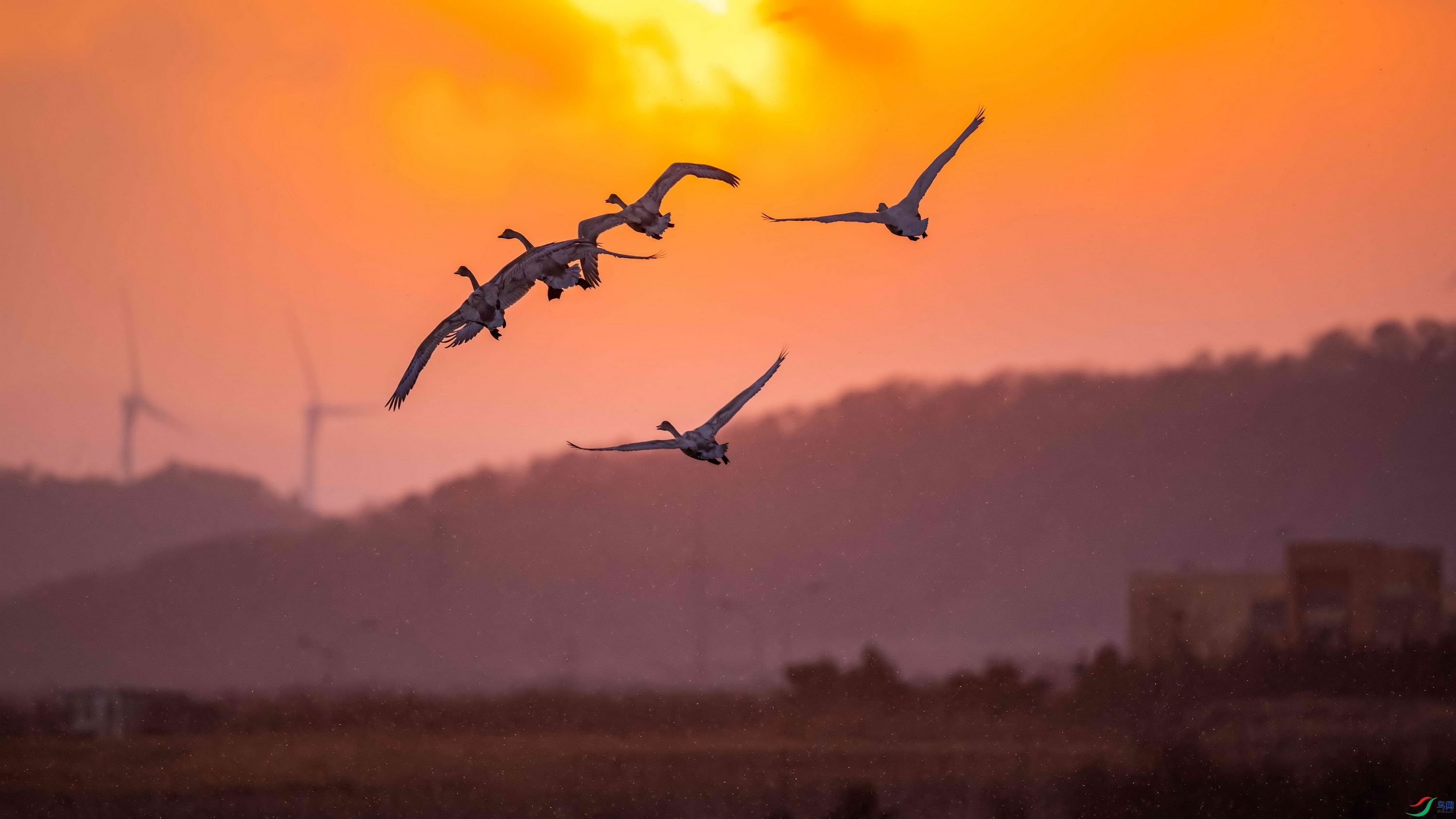 ѩ�а��.jpg