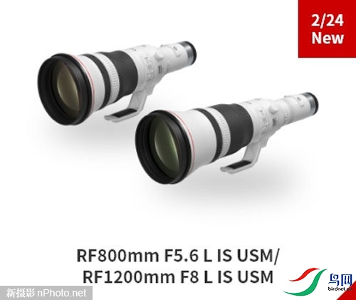 aab94b48c7e4878f.jpg