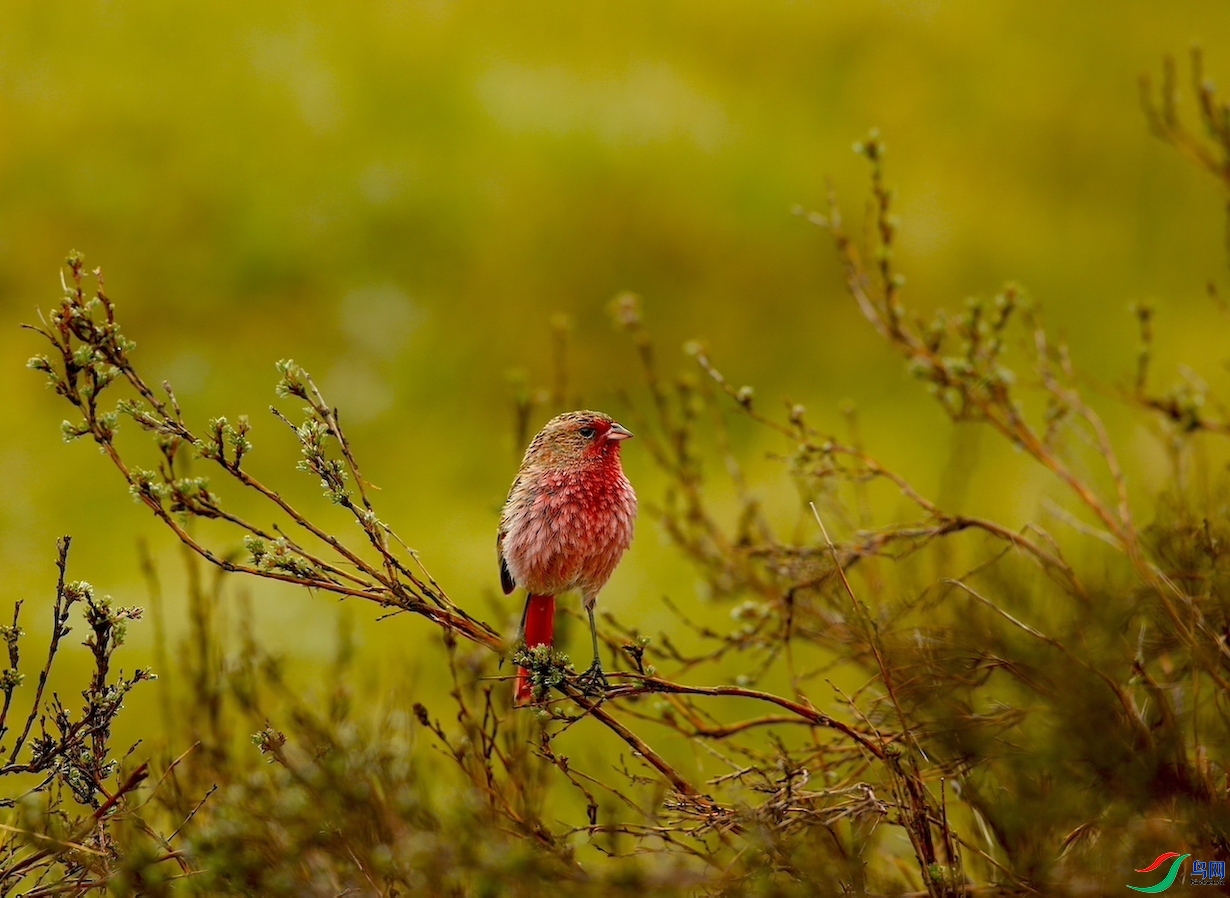 �����ϼ�  ��ʦ�������ຣʡ���ϲ��������ݺ����ɹ���������.jpg