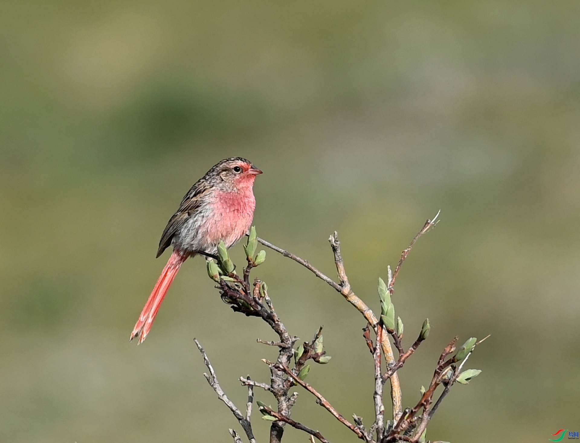 ����ϸ��  ��ʦ�������ຣʡ���ϲ��������ݹ�����.jpg