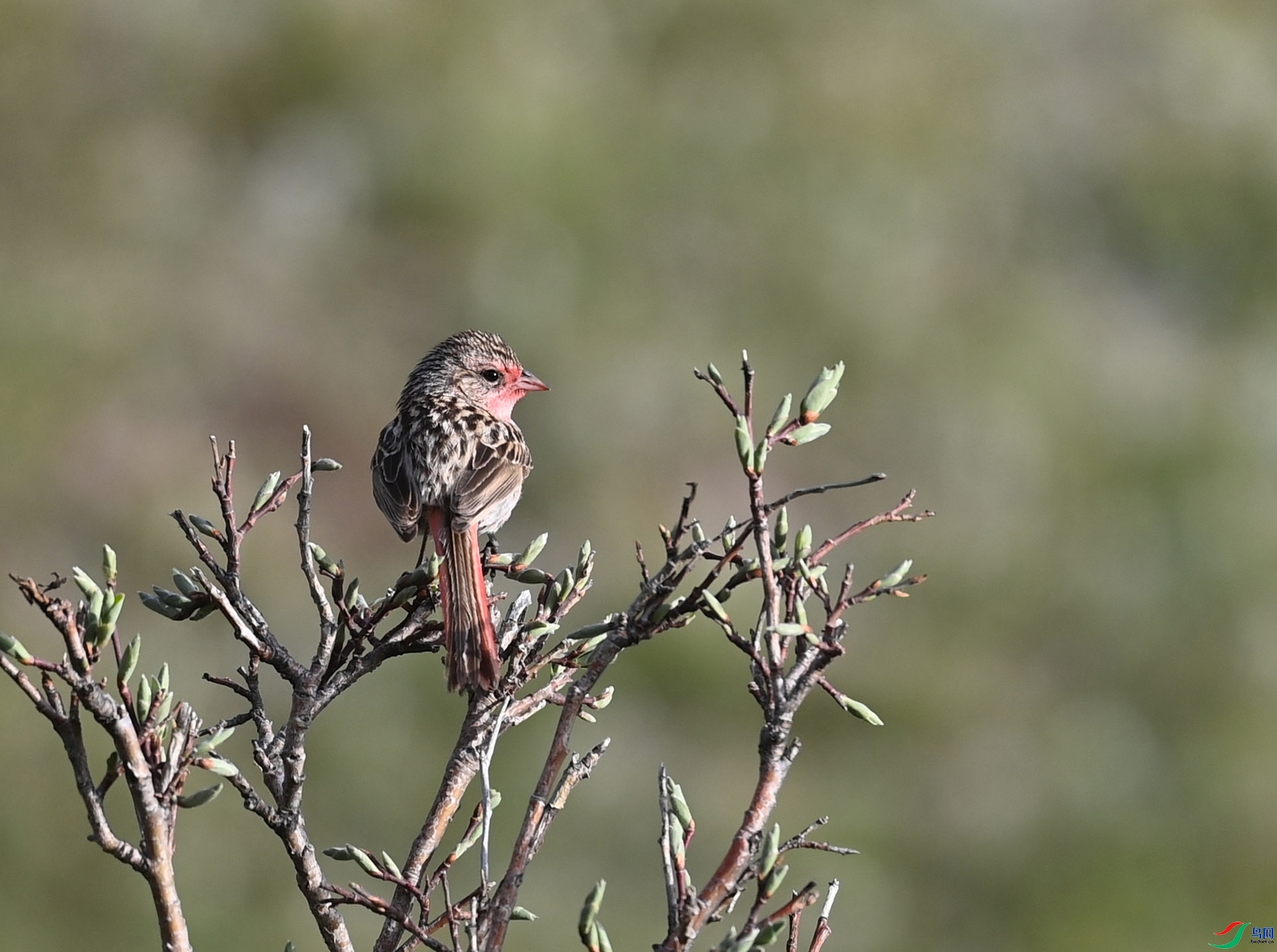 ����ϸ��  ��ʦ�������ຣʡ���ϲ��������ݹ�����1.jpg