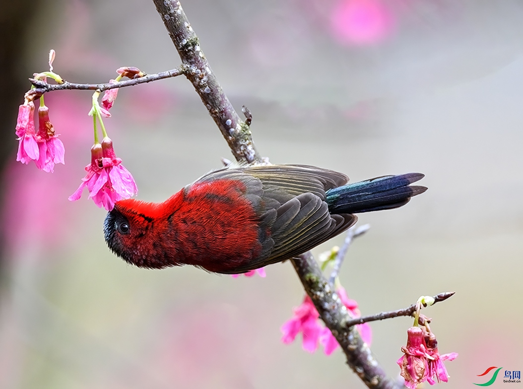 ����̫���� (2).jpg