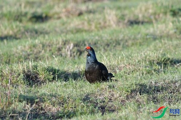 DSC_2375.jpg