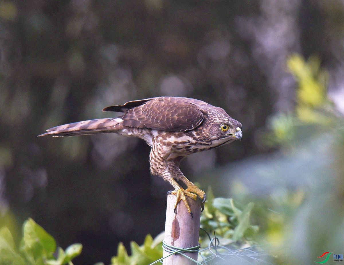 DSC_8905.JPG