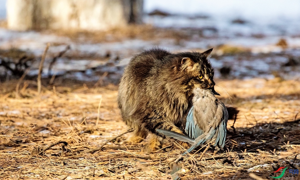 ��è���� (1).jpg