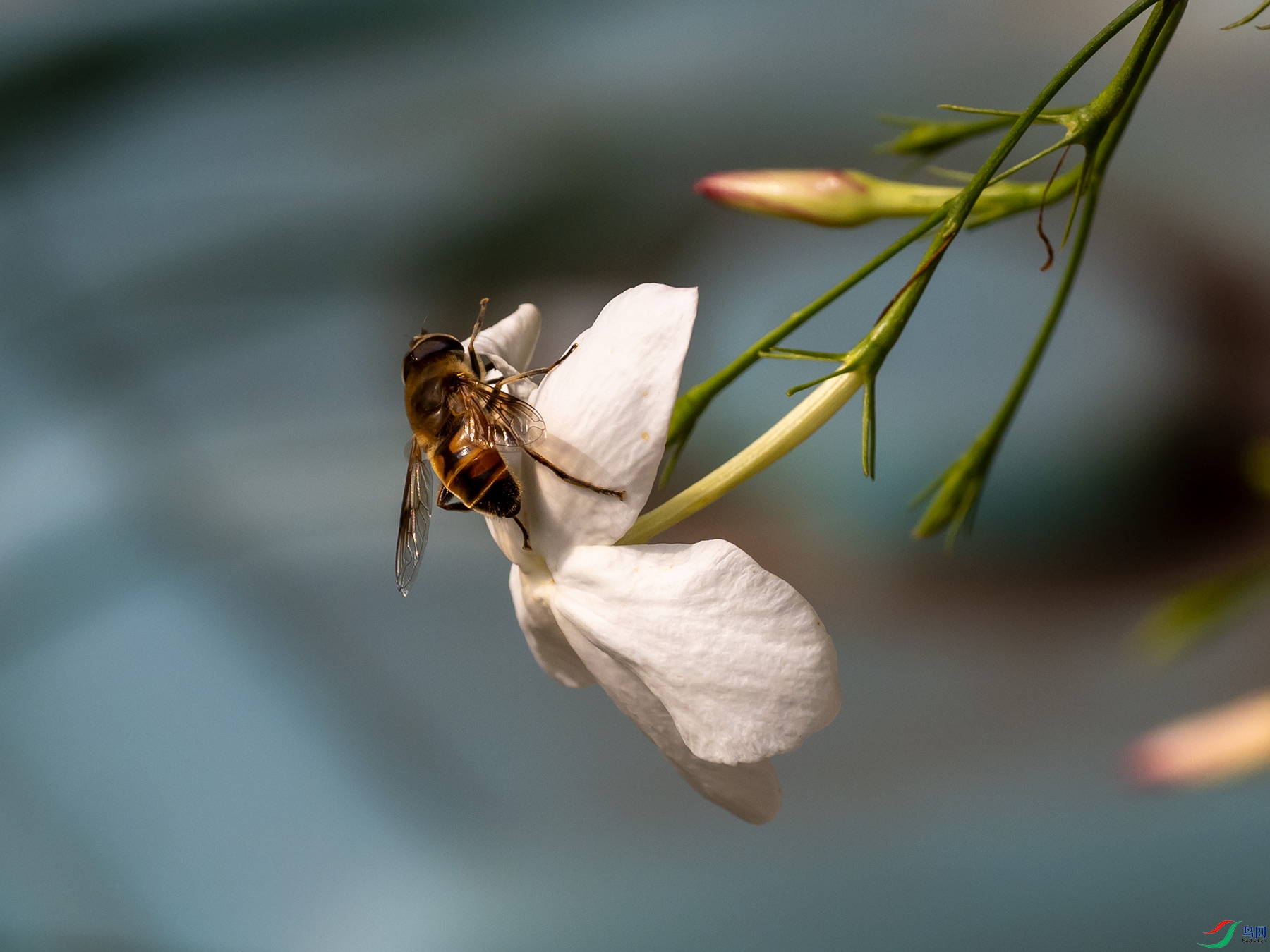 �ڷ䡢��ܰ��