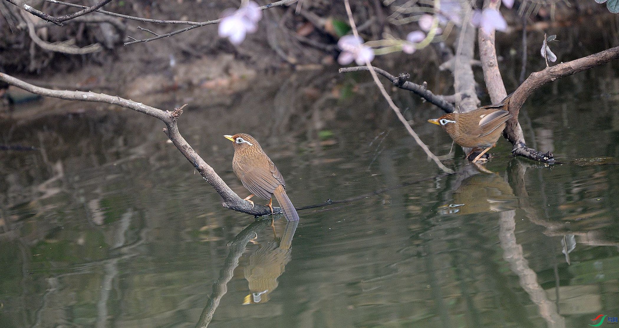 DSC_7540_����.jpg