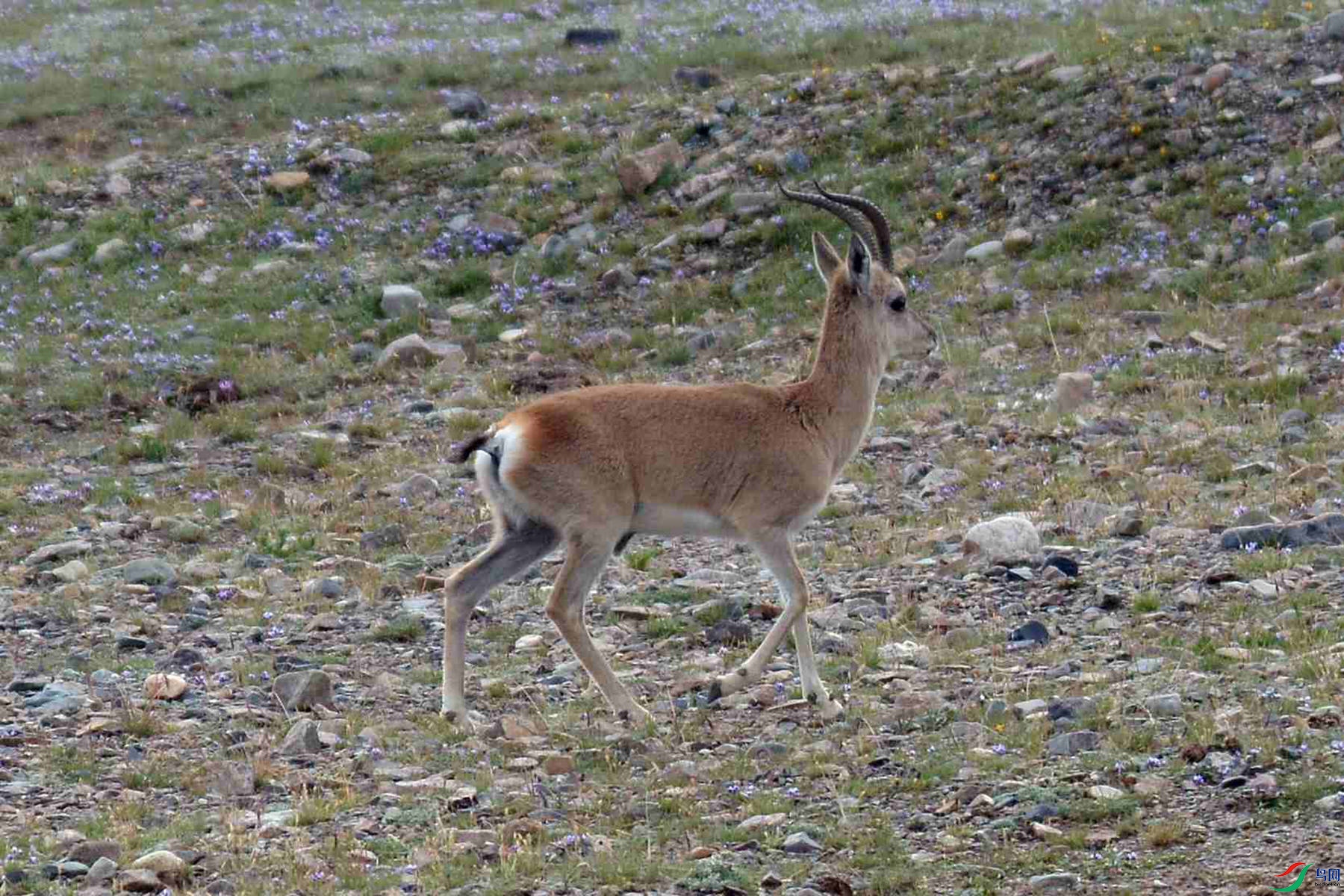 DSC_6993_����̨��.jpg