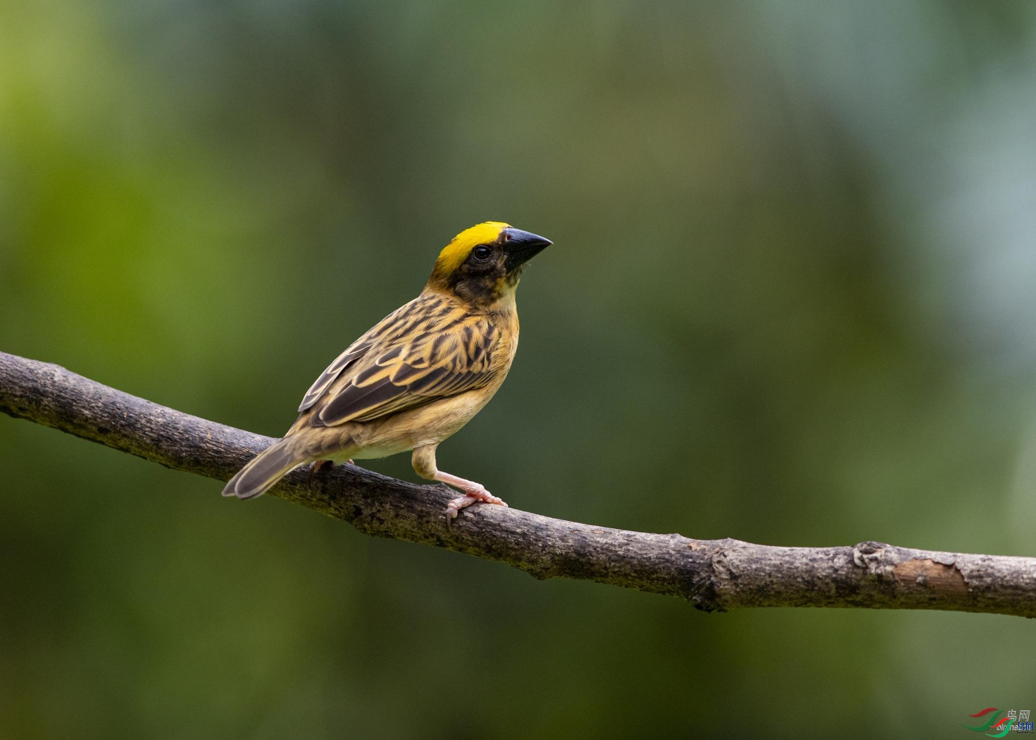 ��ɽ��ˮ  ��ʦ�����ڹ㶫ʡ ��ݸ�ж�ݸ��.jpg