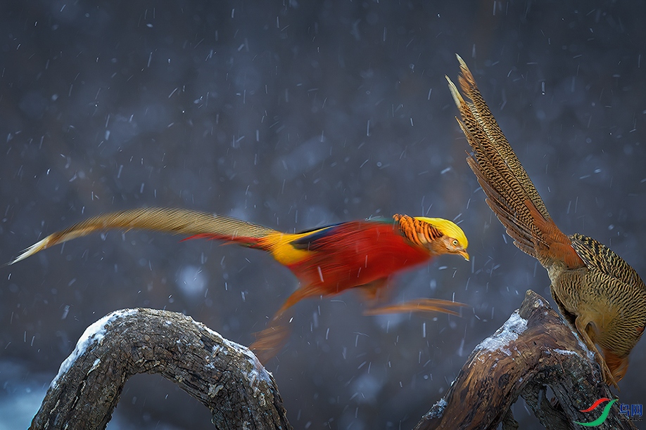 �����ں��������ϴ塣