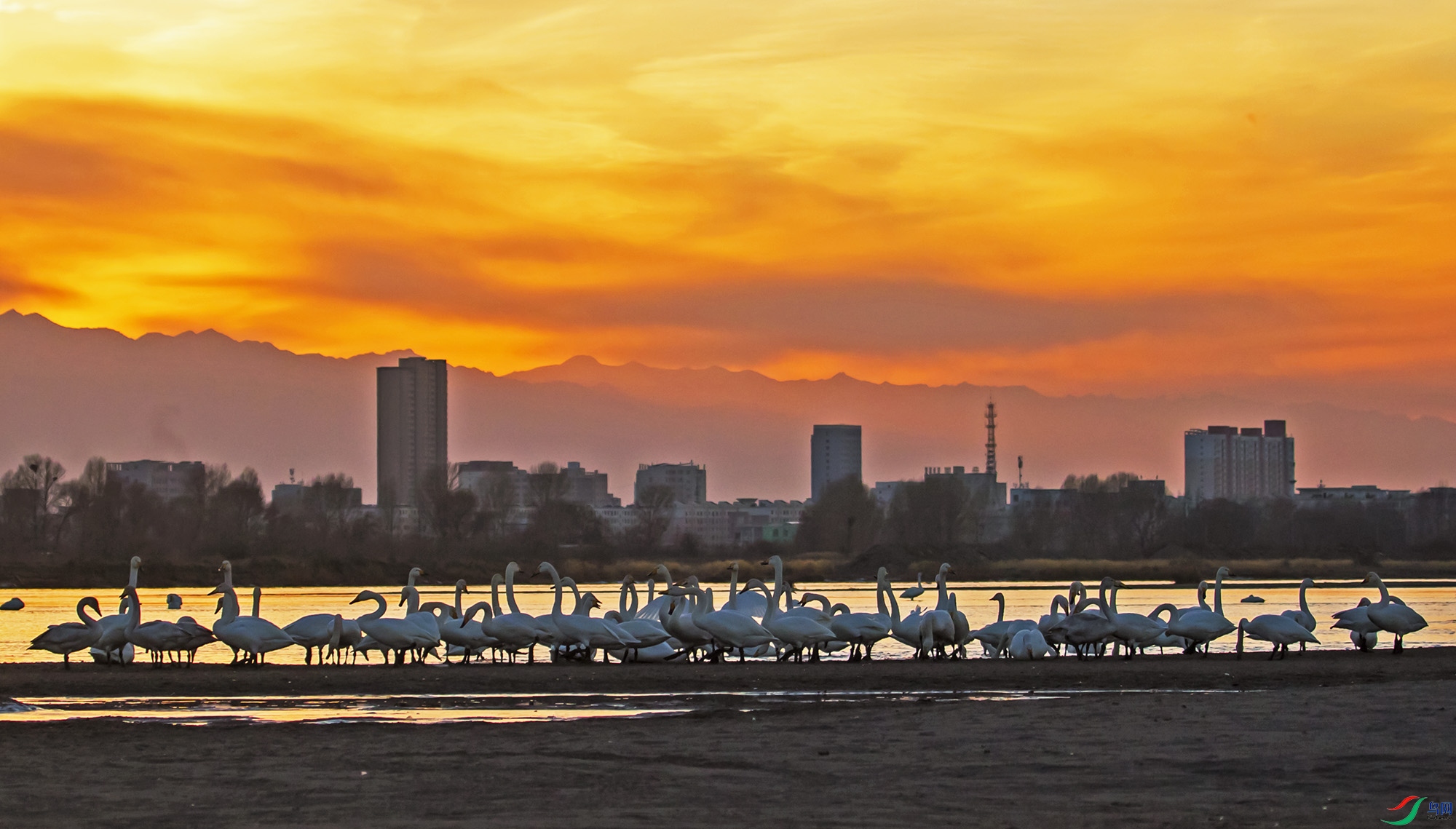 1D6A3617-.jpg
