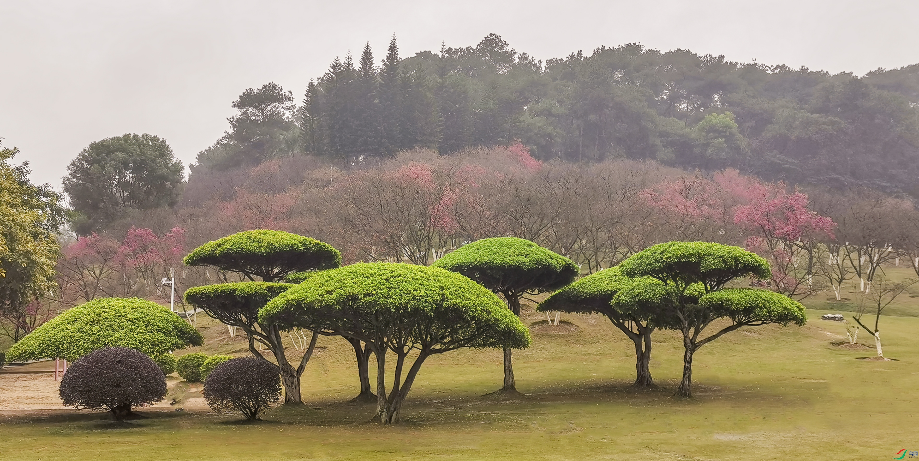 08a8c0a831ad84724548ae61bb47c22 ����.jpg