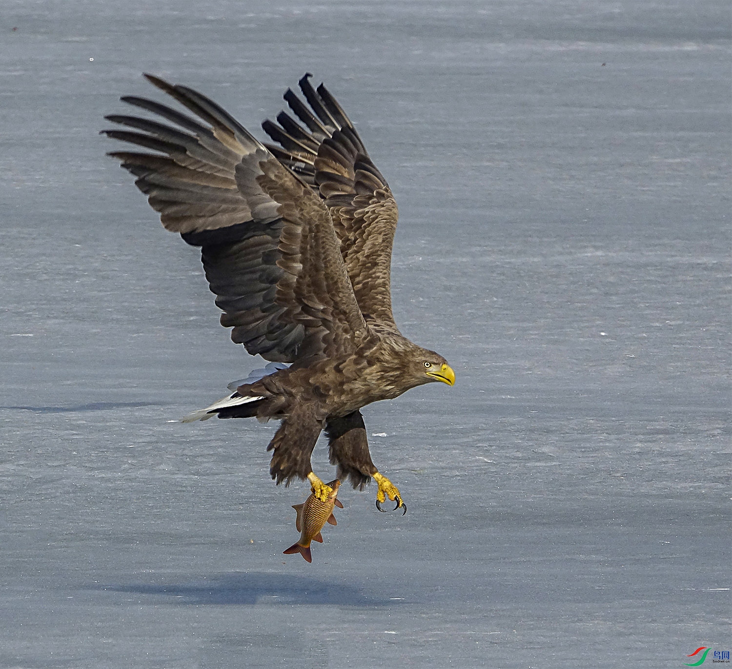 _DSC6967.jpg  3.jpg