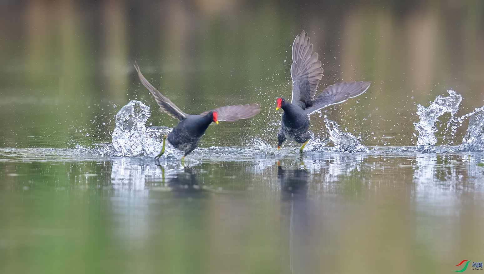 AC0I0755.jpg2 ����.jpg