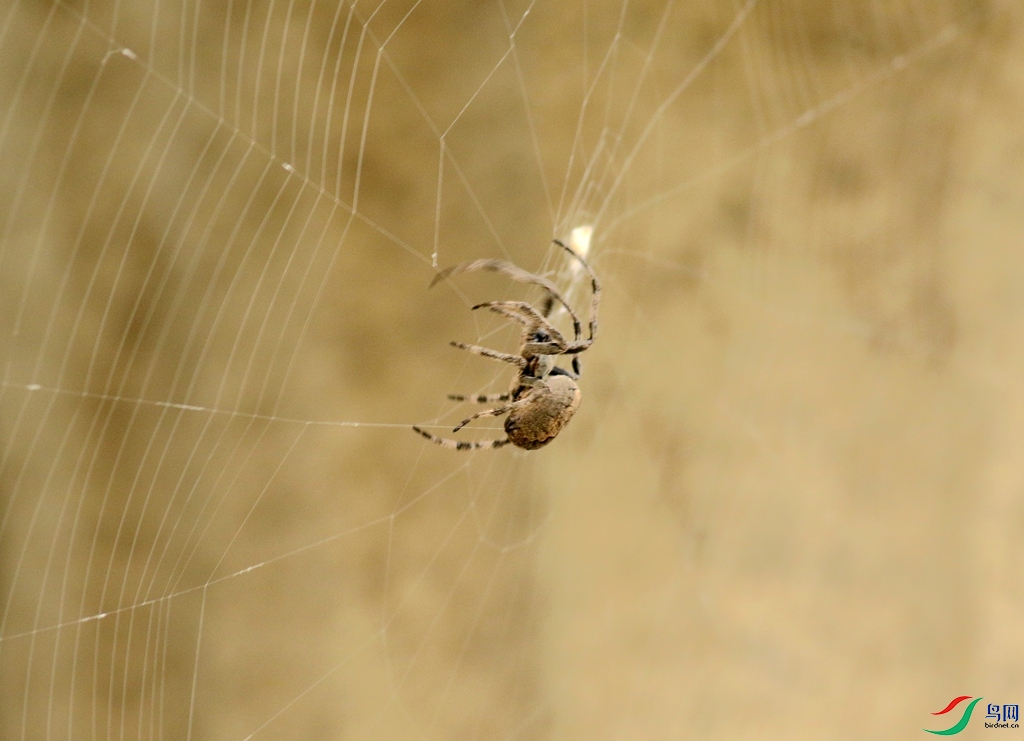 367A2816_����.jpg