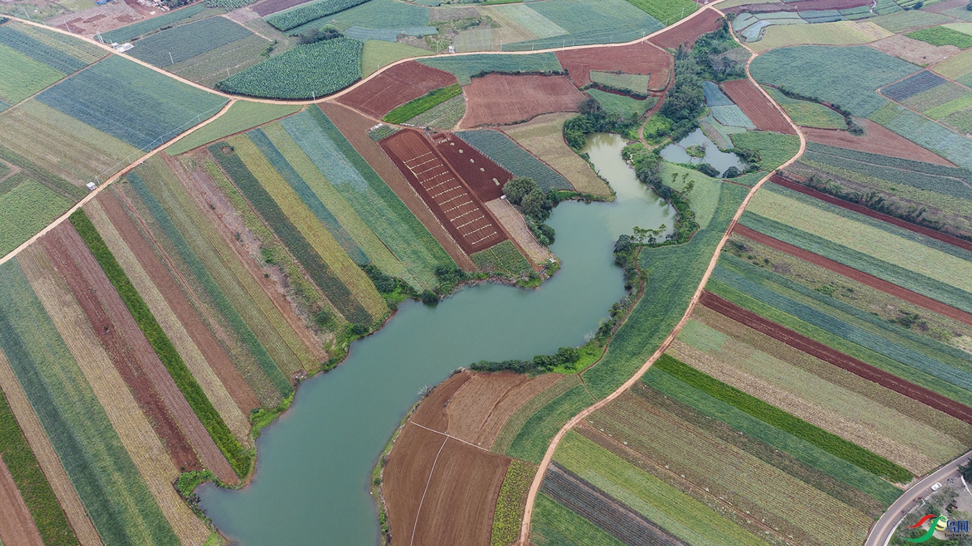 DJI_0317.jpg