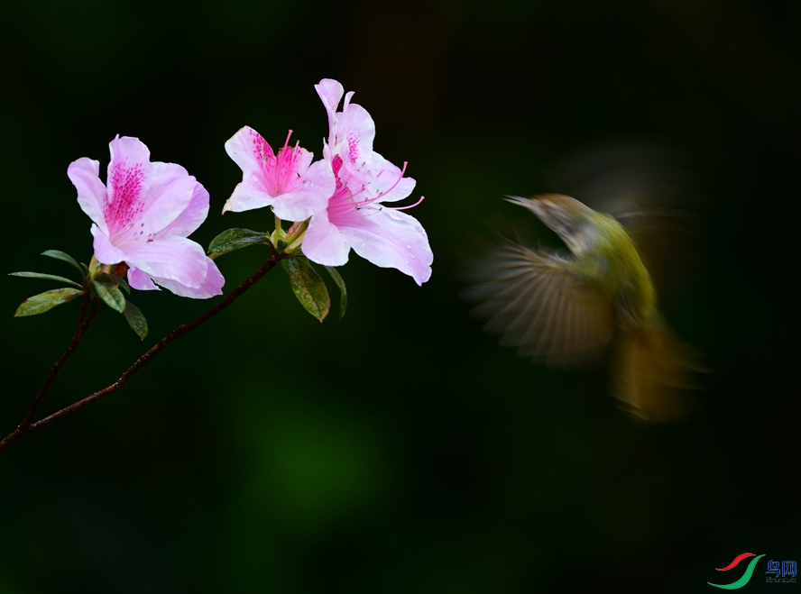DSC_5706_��ͼ��_����3.jpg