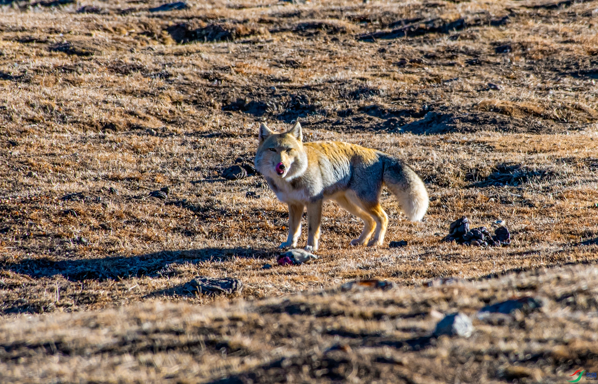 _DSC2986_����.jpg