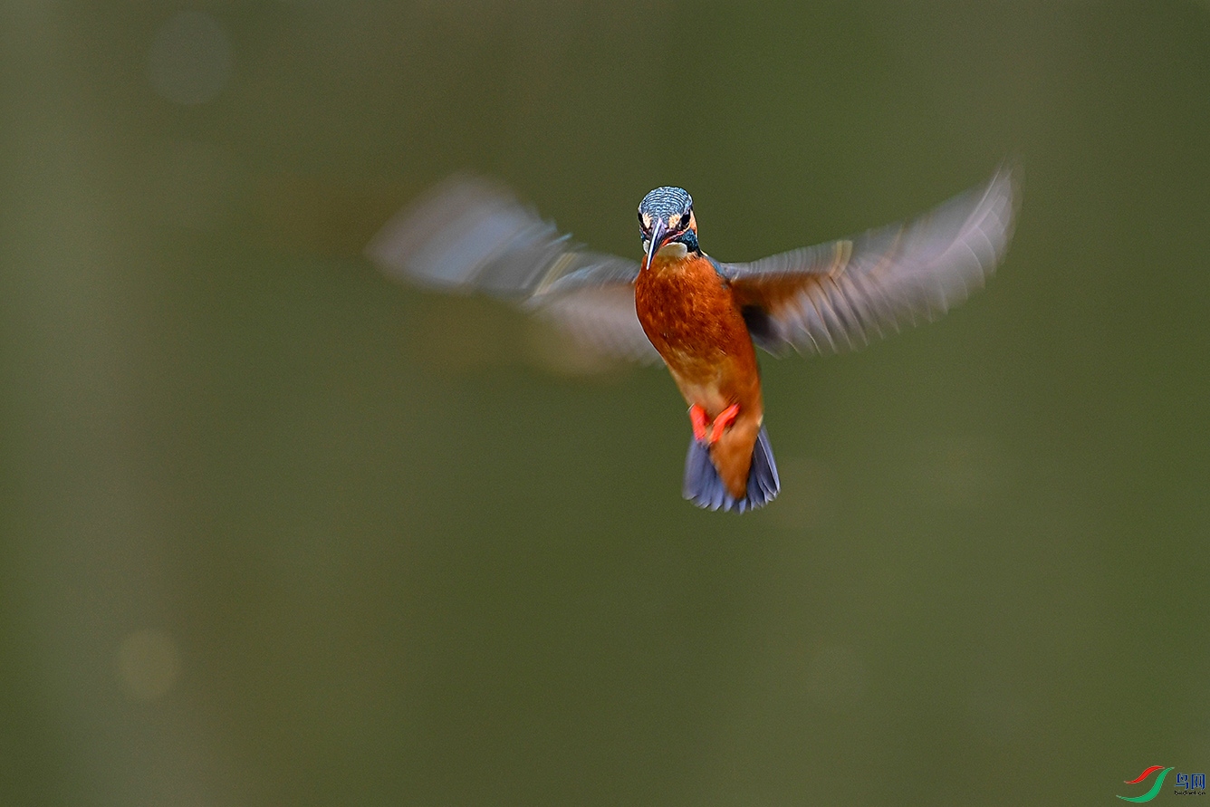 DSC_5554-2.jpg