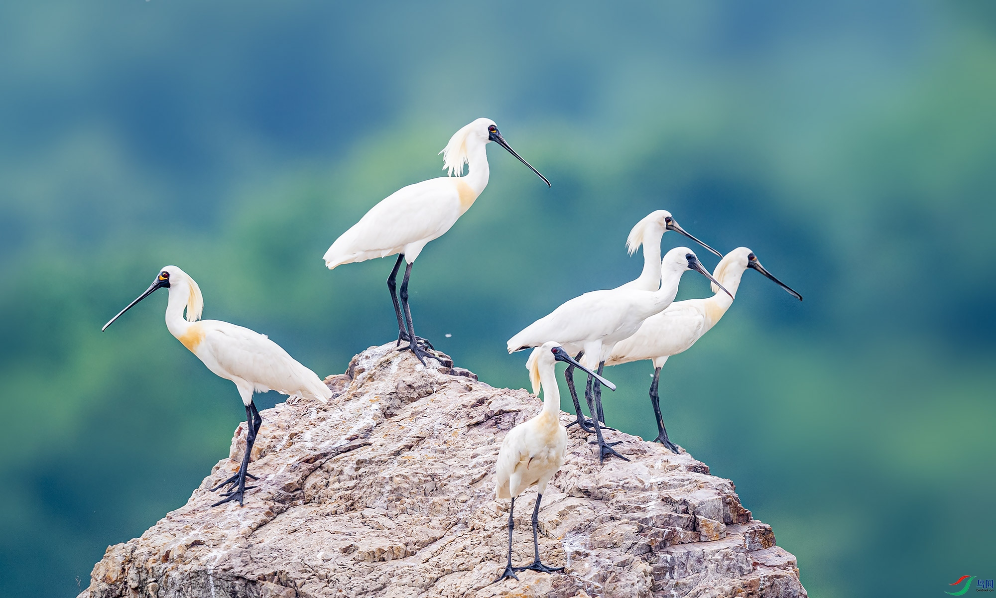 ��������