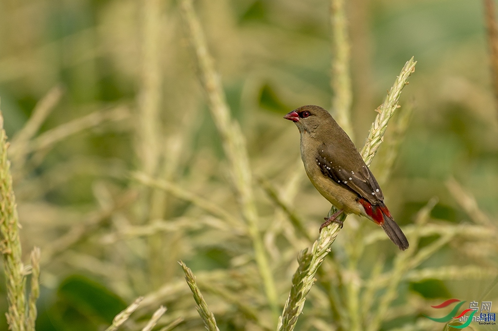 ��������  ��ʦ����������ʡ��ӹ��������������ݿ�Զ��.jpg