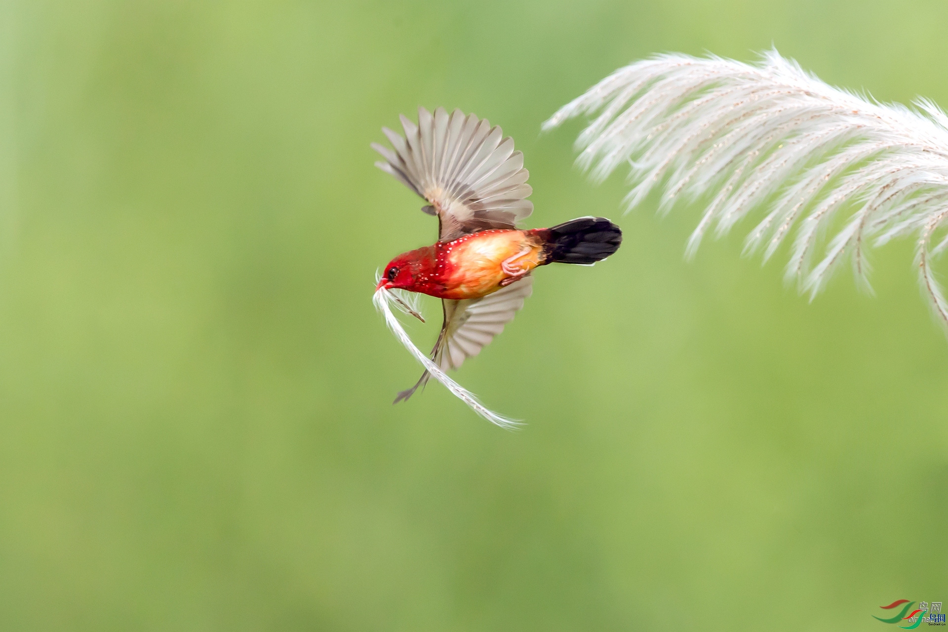 ��ͽ  ����������ʡ��˫���ɴ��������ݾ�����.jpg