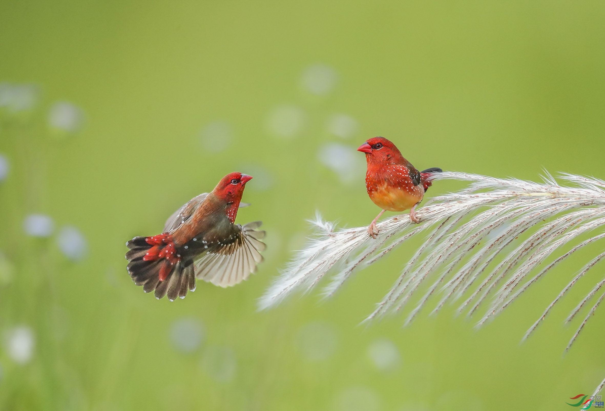 һ���֣����ǣ�  ����������ʡ��˫���ɴ����������º���.jpg