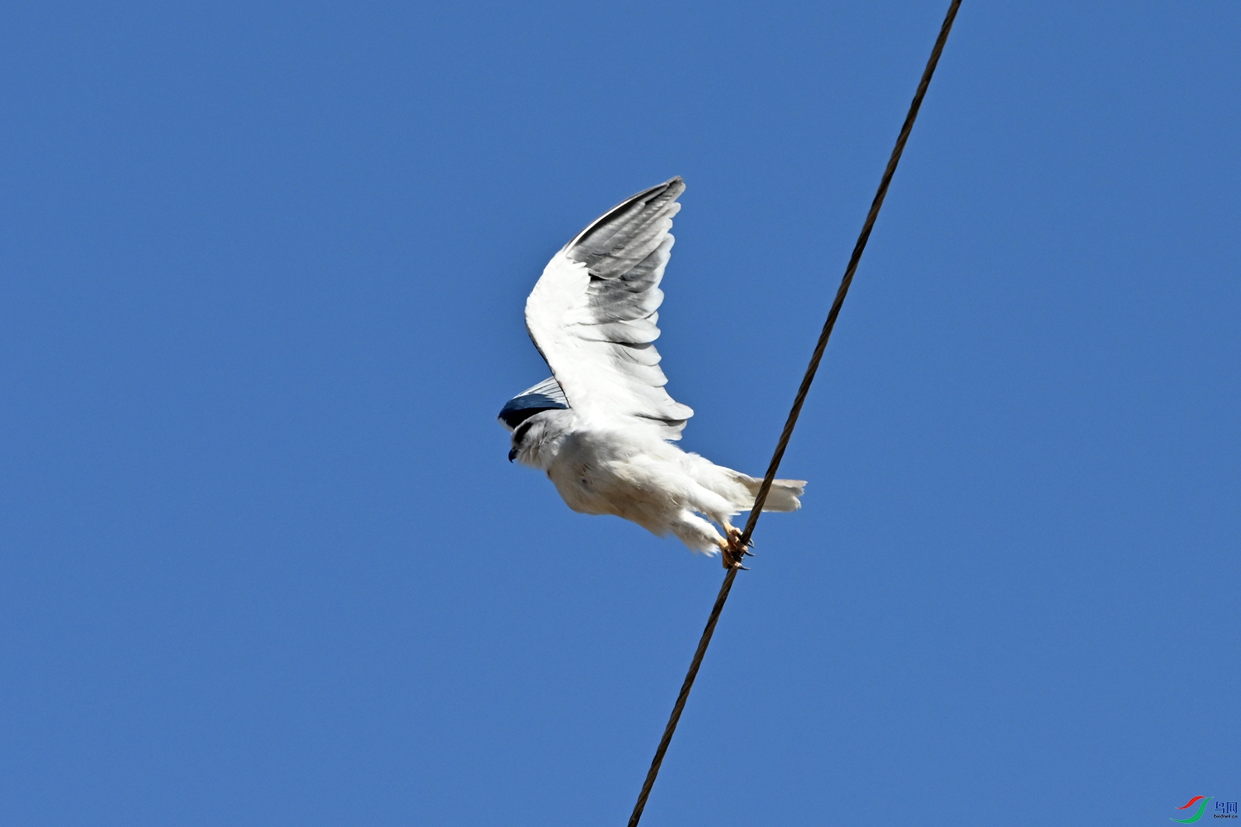 DSC_2554.jpg