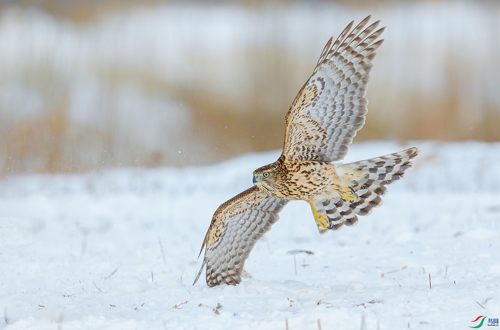 AC0I2789 ���� 2.jpg