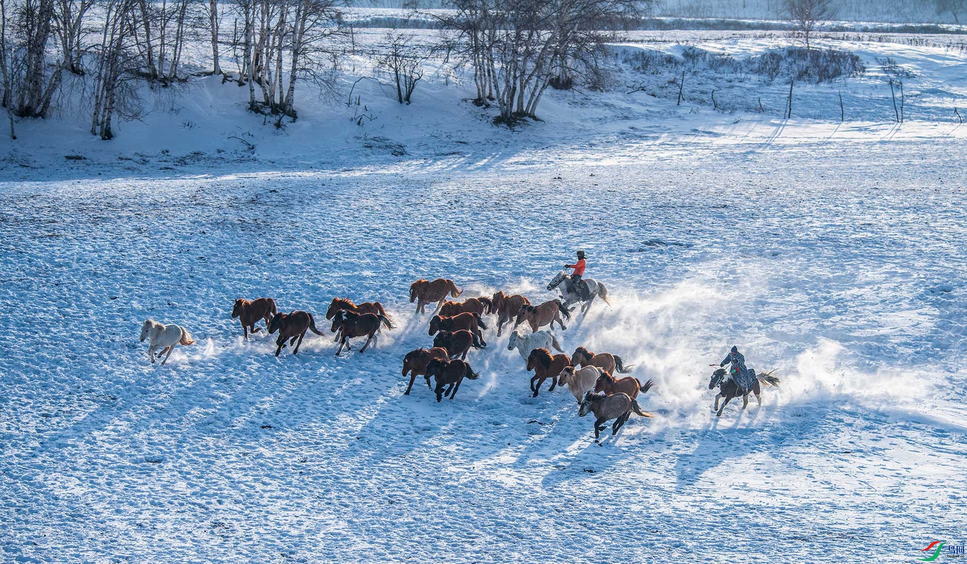 ѩ�ر���_DSC4650.jpg11.jpg
