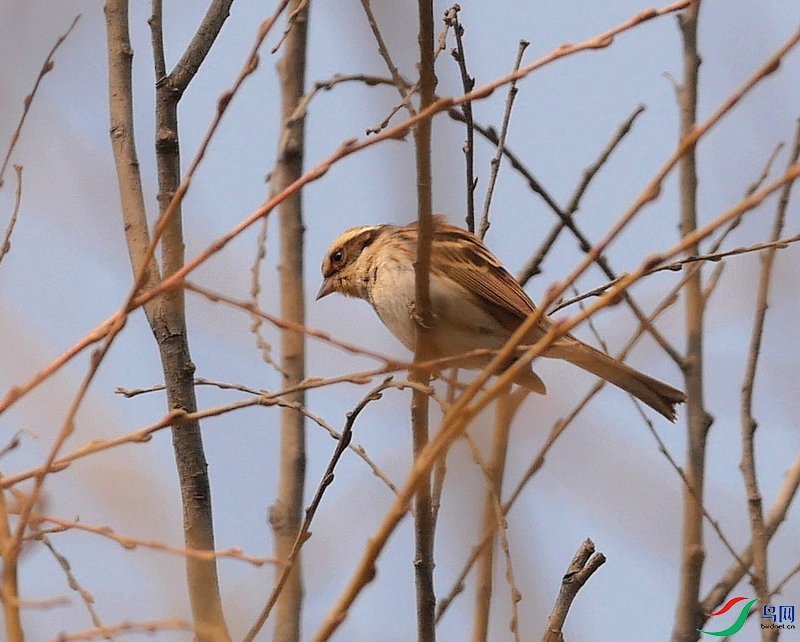 P7970596 - ����.JPG