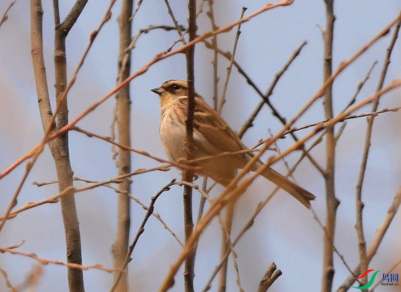 P7970604 - ����.JPG