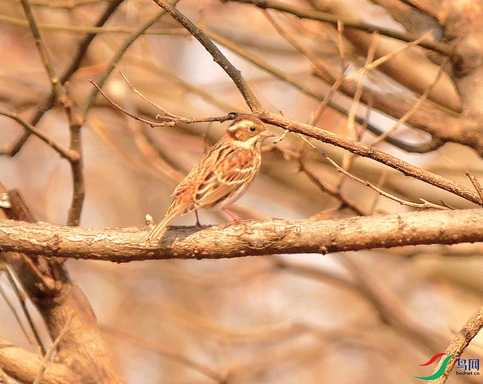 P7970523 - ����.JPG