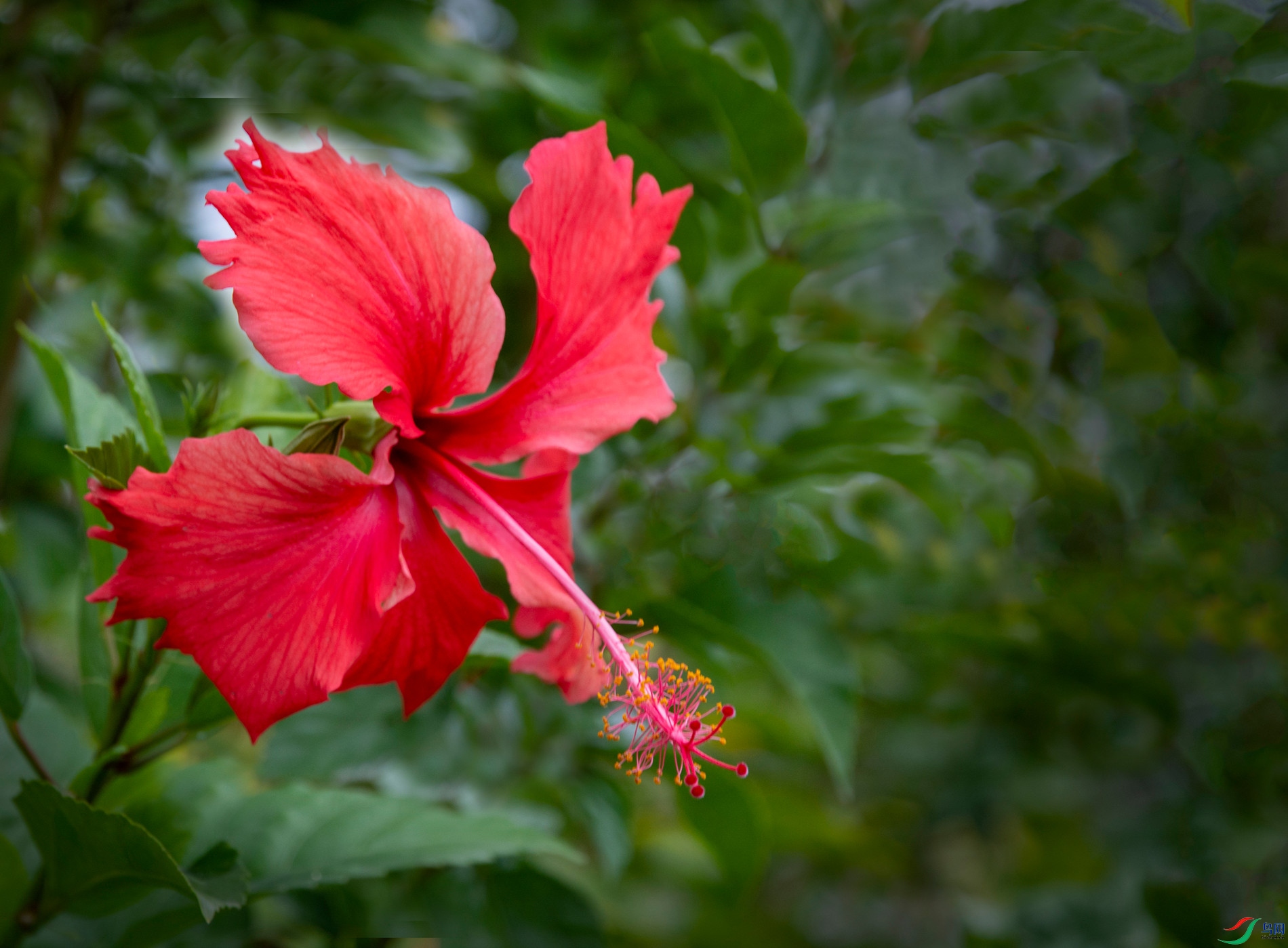 DSC_4247.jpg