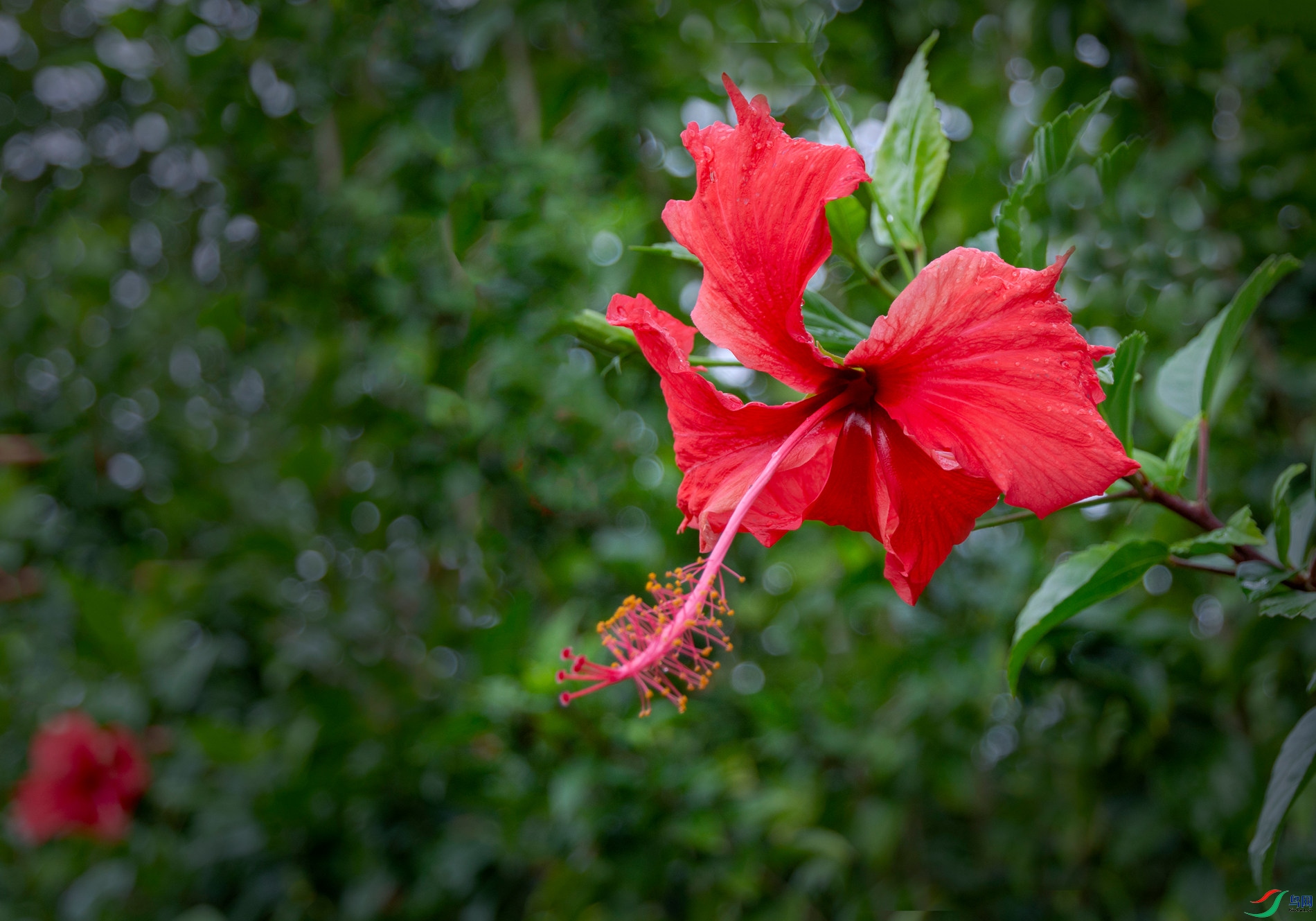 DSC_4252.jpg