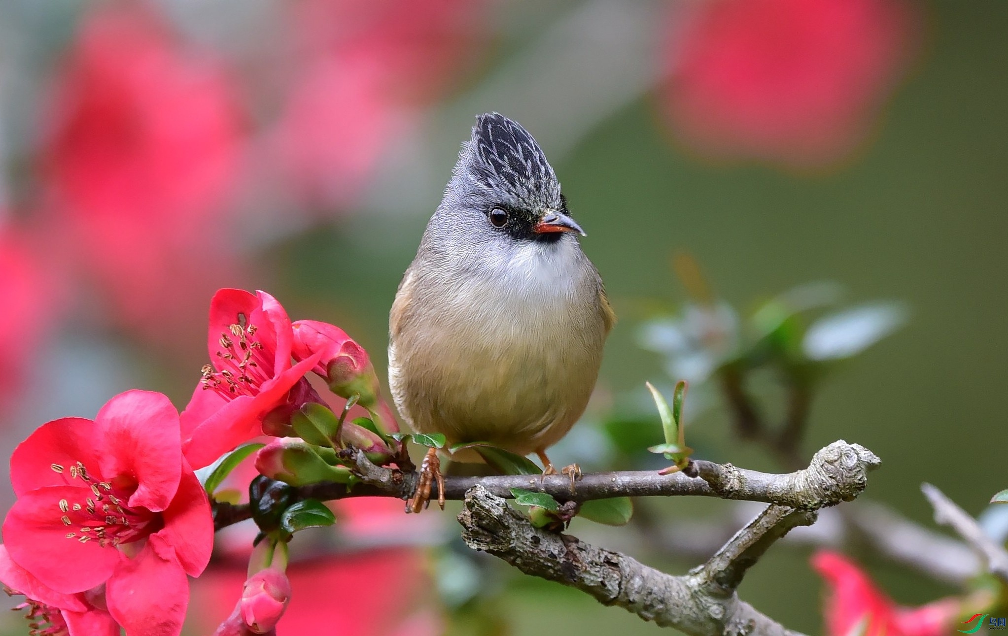 DSC_8193_conew4.jpg