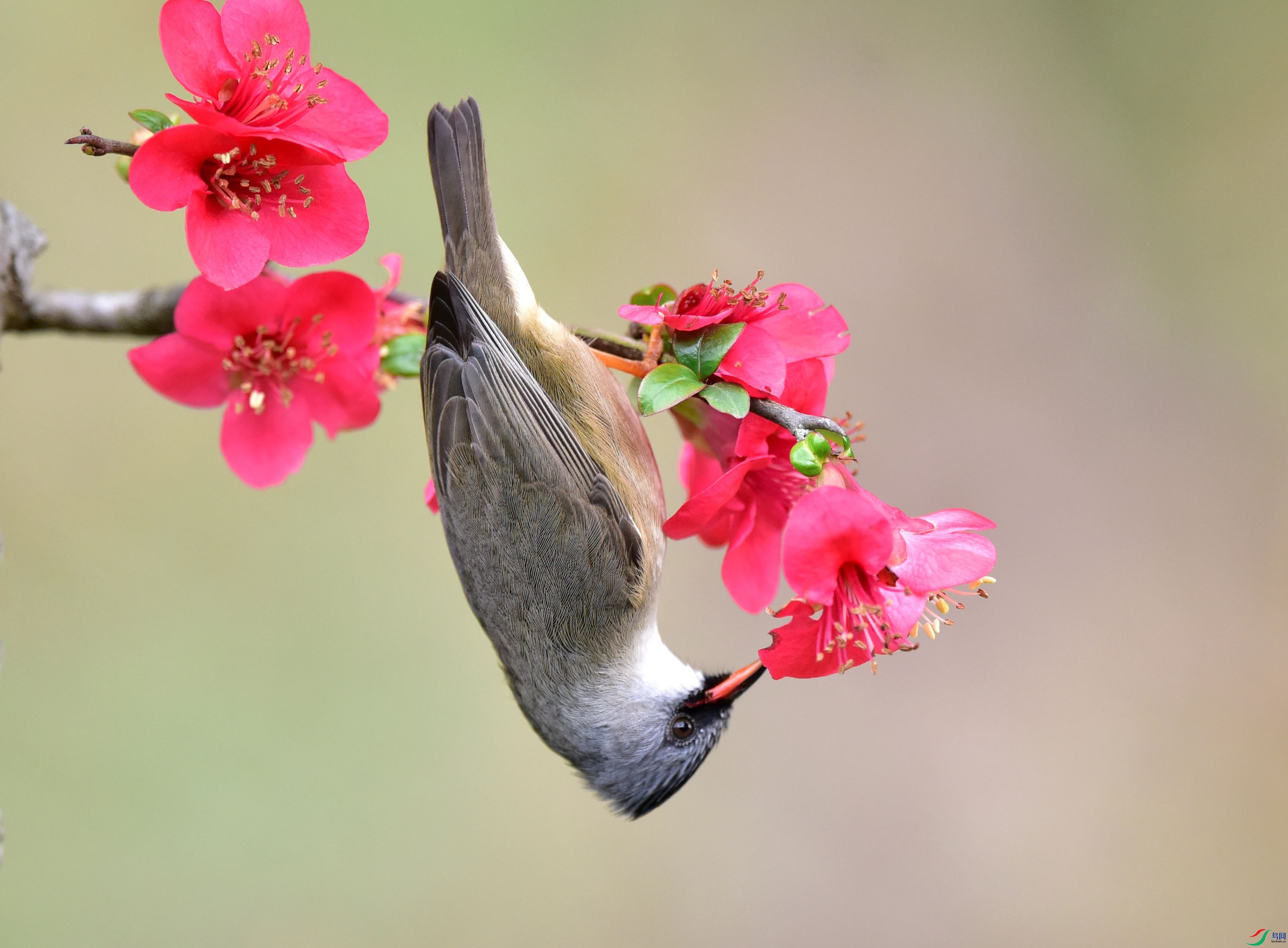 DSC_9476_conew2.jpg