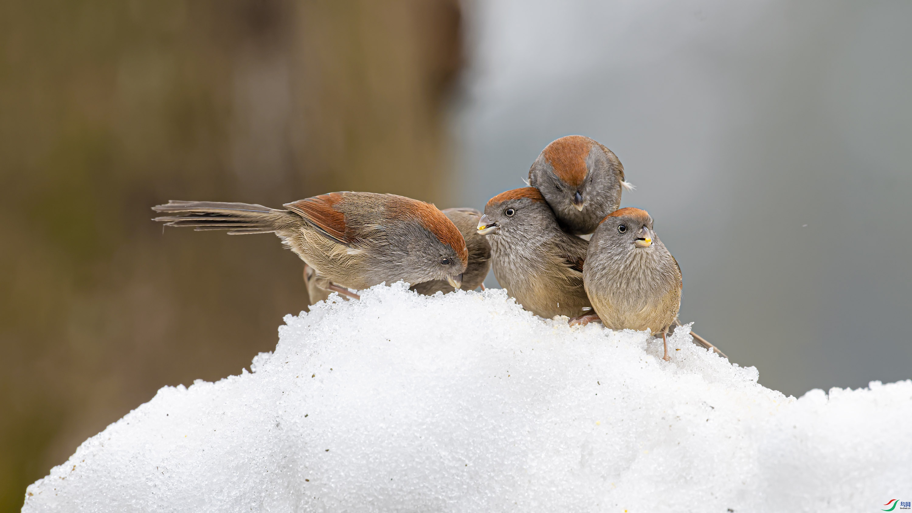 _DSC3723_DxO.jpg