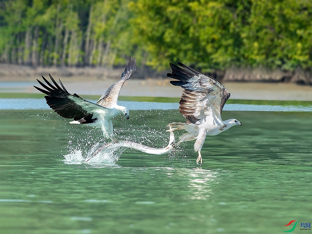 �׸�����