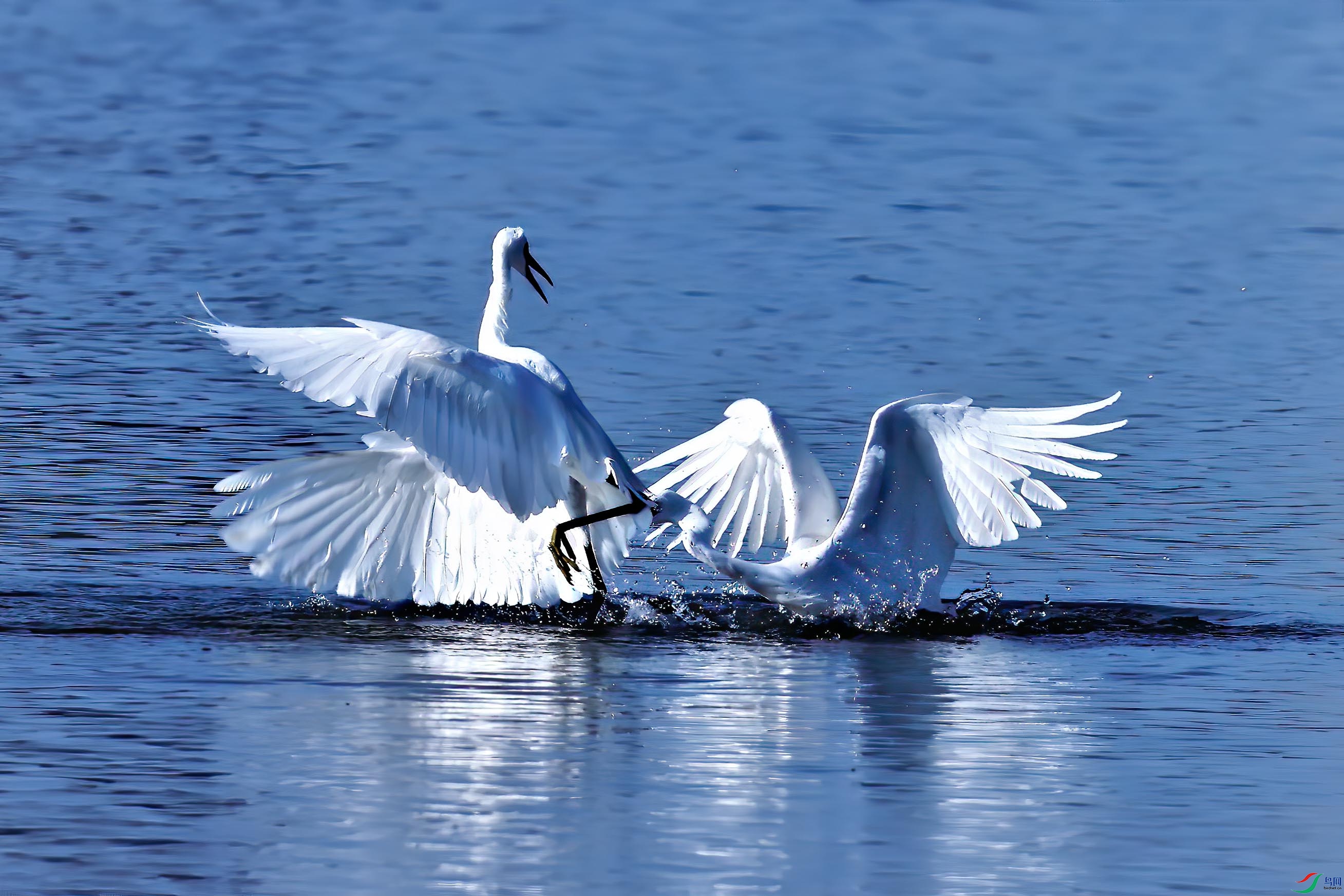 ˮ��򣬣���