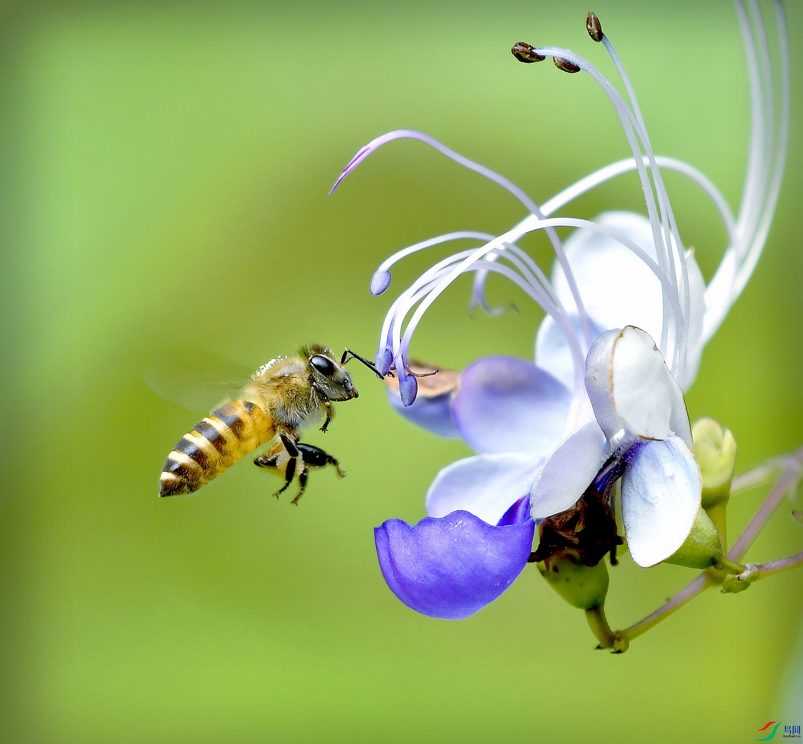 _DSC4192 - ����.JPG