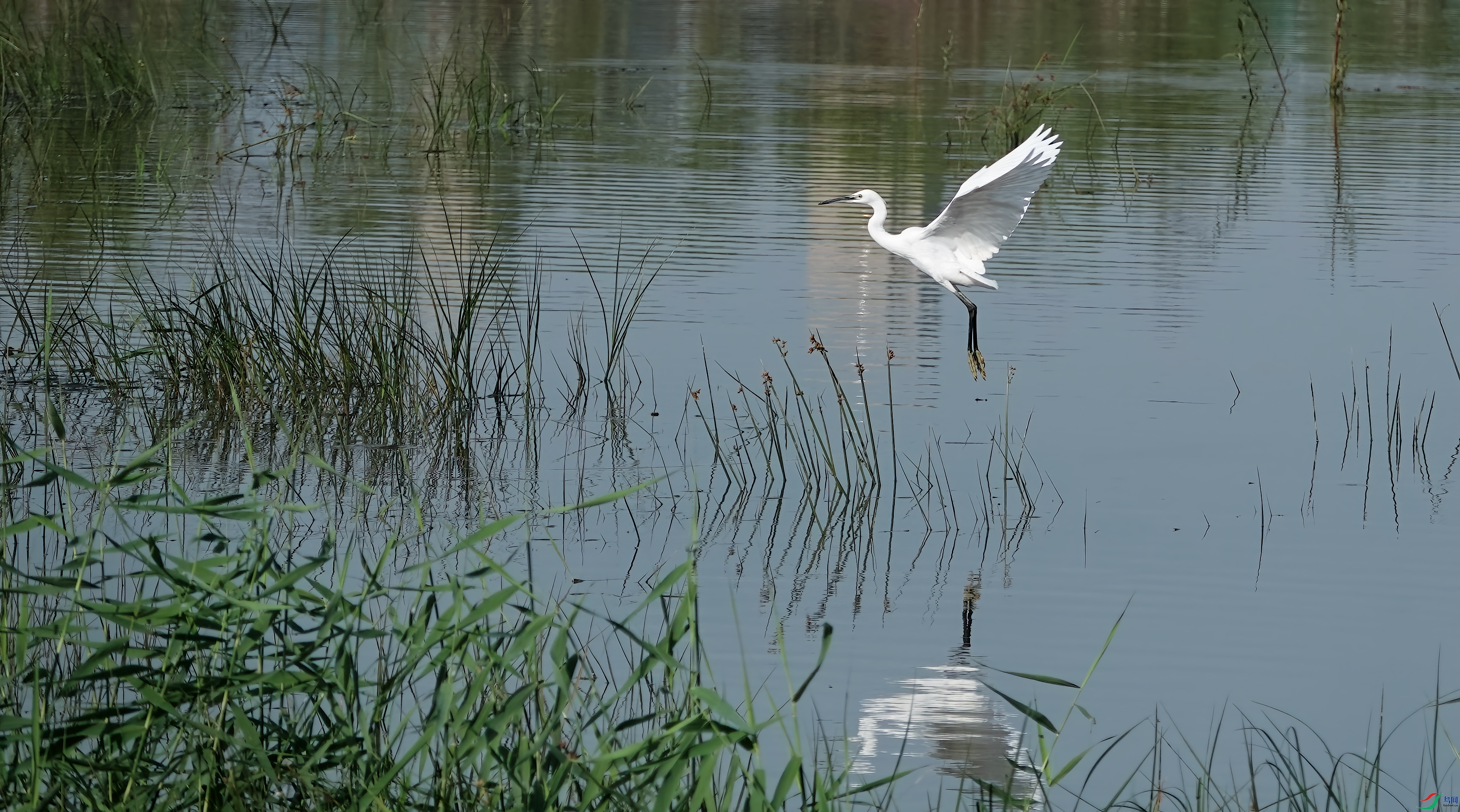 DSC08352.jpg