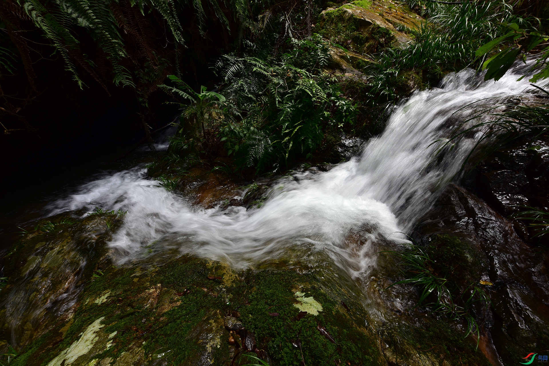 D8I_8069.jpg