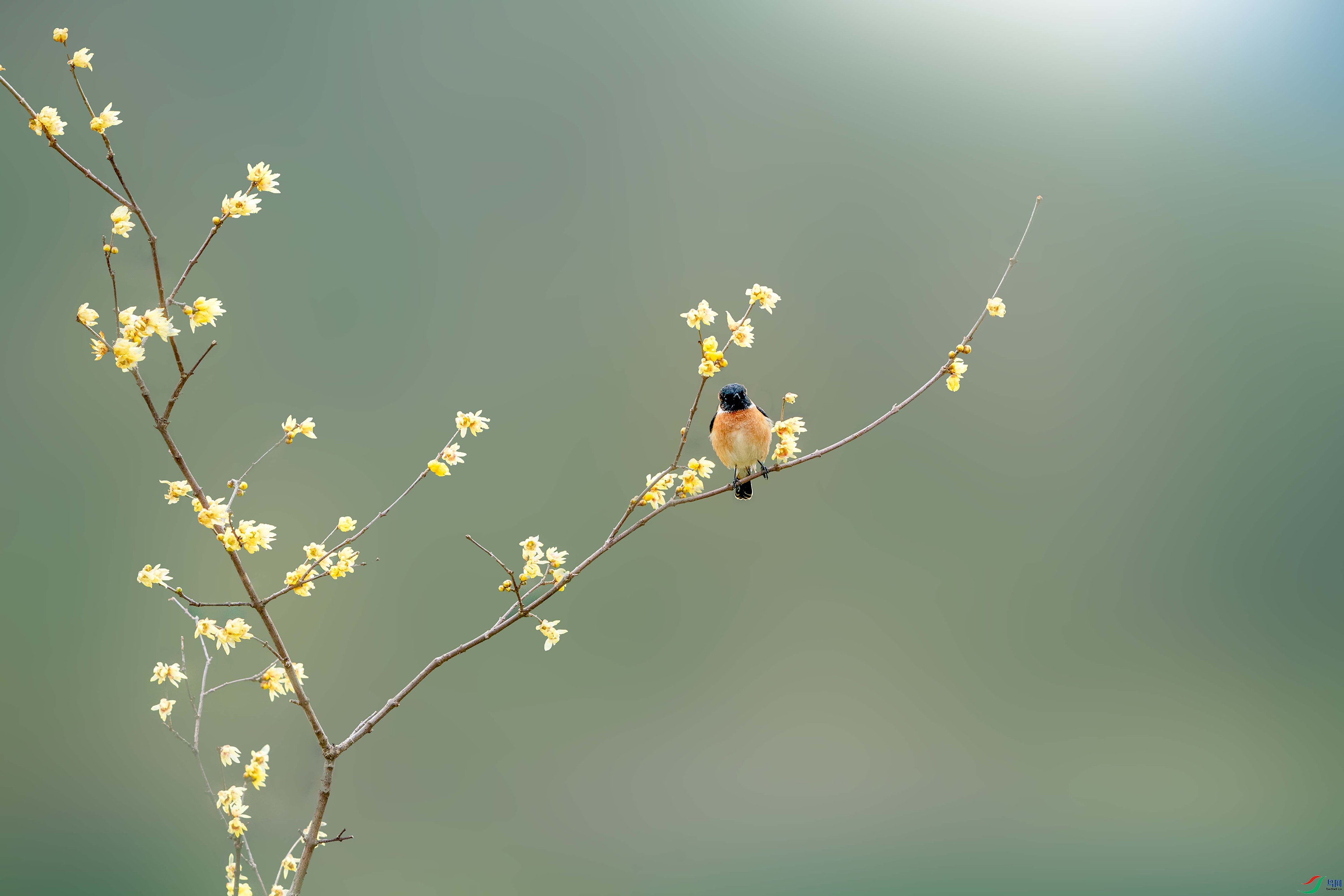 ZZX02347 ����.jpg