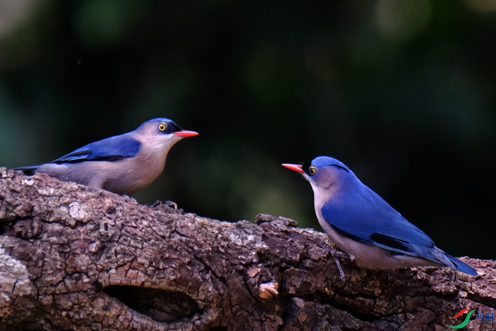 DSCF2636.1.jpg