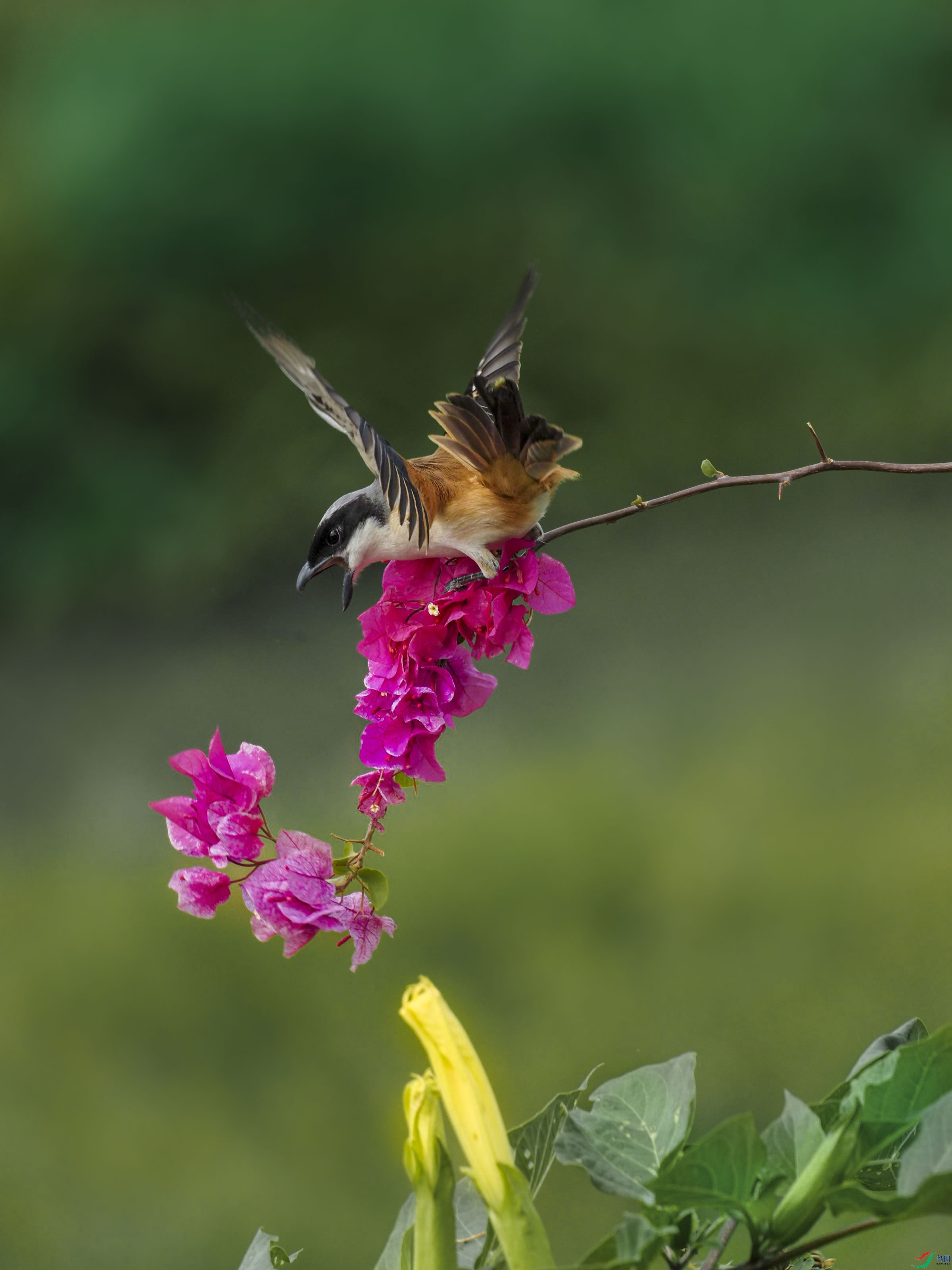 P1212344_--����ͼ--0.jpg