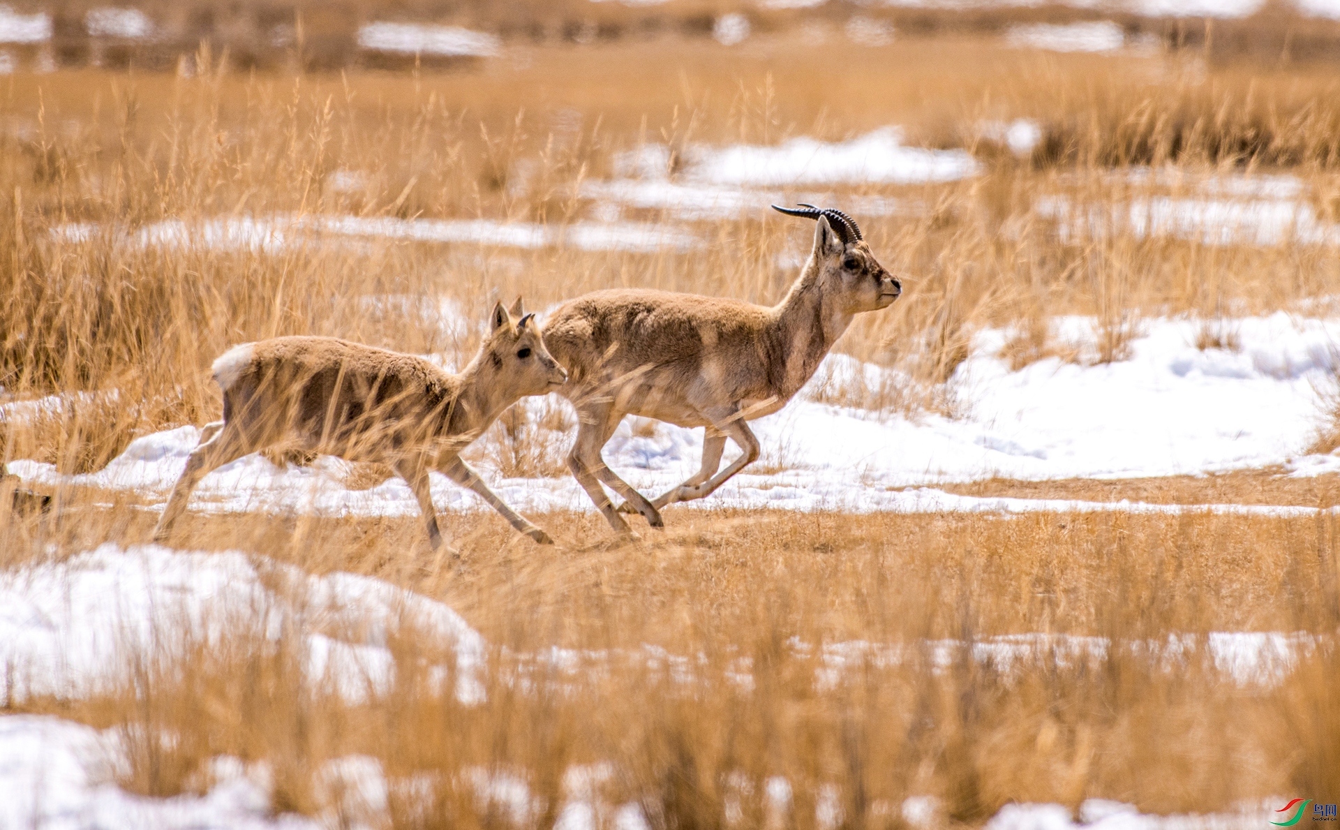 _DSC3703_����.jpg