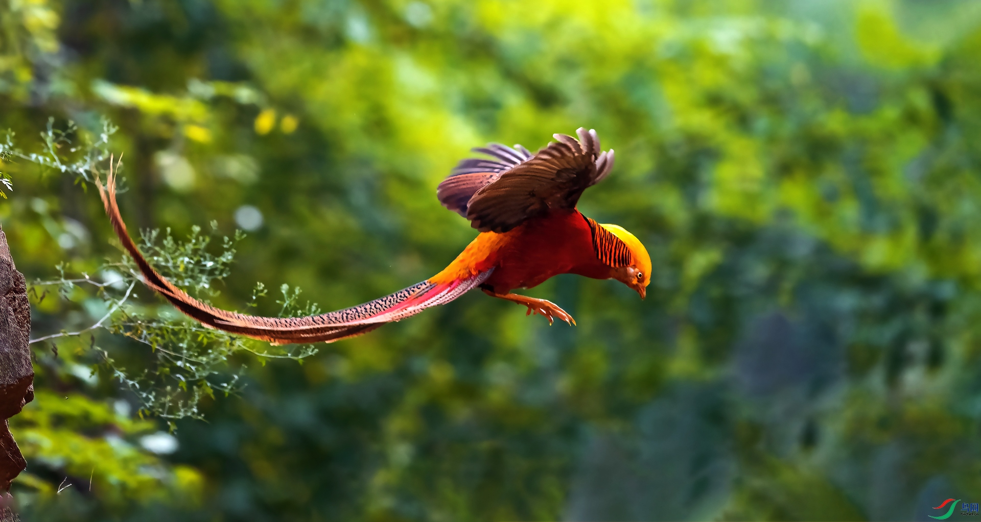 _DSC5894==1w.jpg