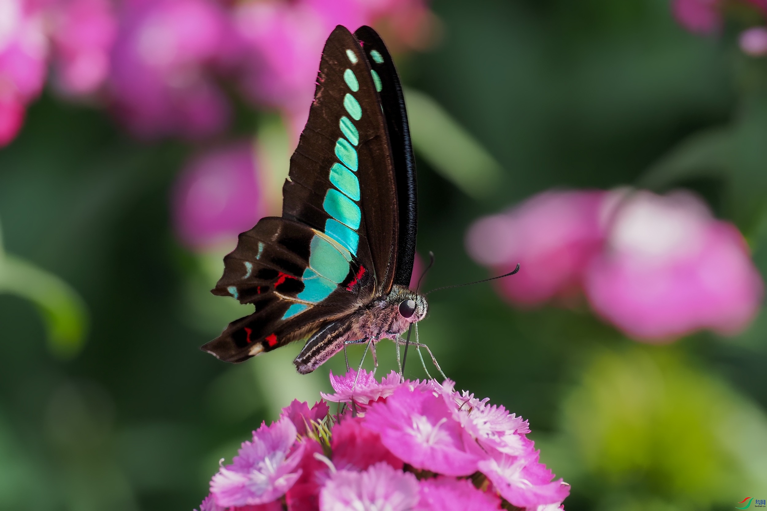 PB100529-1.jpg